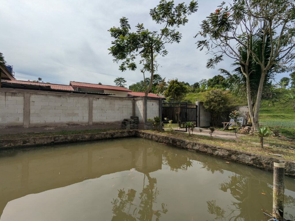 WhatsApp Image 2026-02-18 at 8.36.50 AM